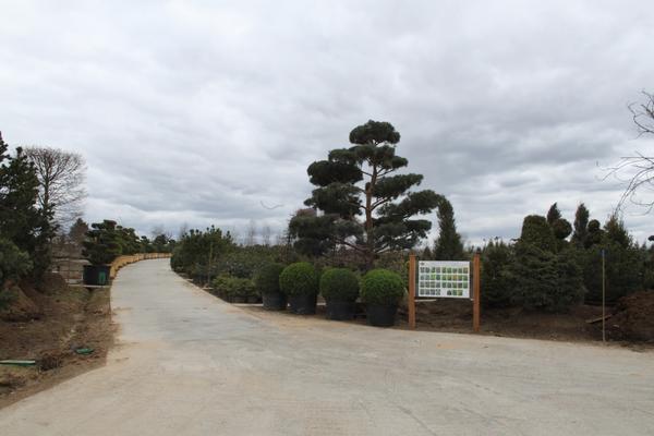 Экскурсия в садовый центр Imperial Garden