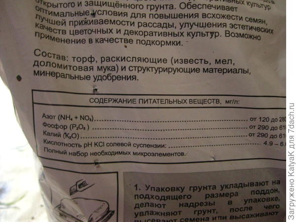 Кориандр Дебют. Этап 1. Тест на всхожесть