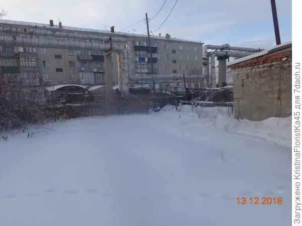 Как организован огород на моем дачном участке