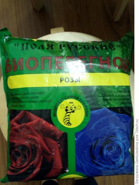 Мои первые Остинки