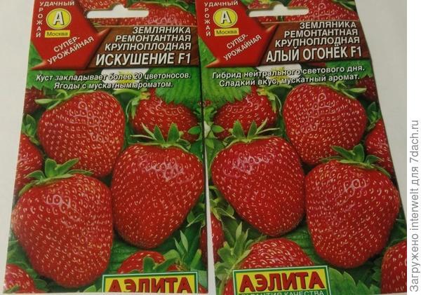Мое начало сезона-2021