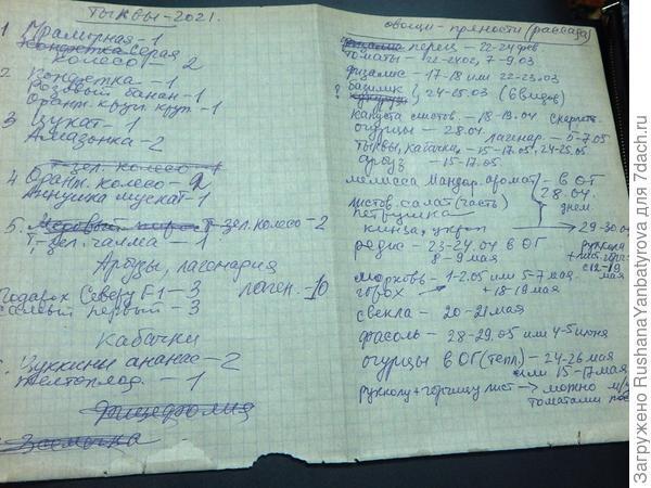 Летом и зимой любимый сад со мной! Я в зимние морозы готовлюсь к посевной!