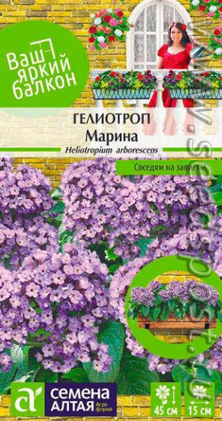 Гелиотроп – "следующий за солнцем"
