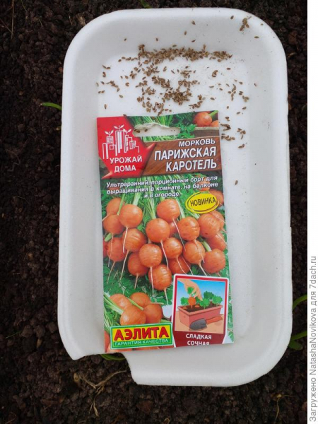 Морковь 'Парижская каротель' от агрофирмы "Аэлита". Тест на всхожесть
