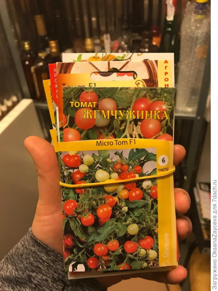 Огород на подоконнике. Эксперимент по выращиванию томатов и перцев в домашних условиях. Фото