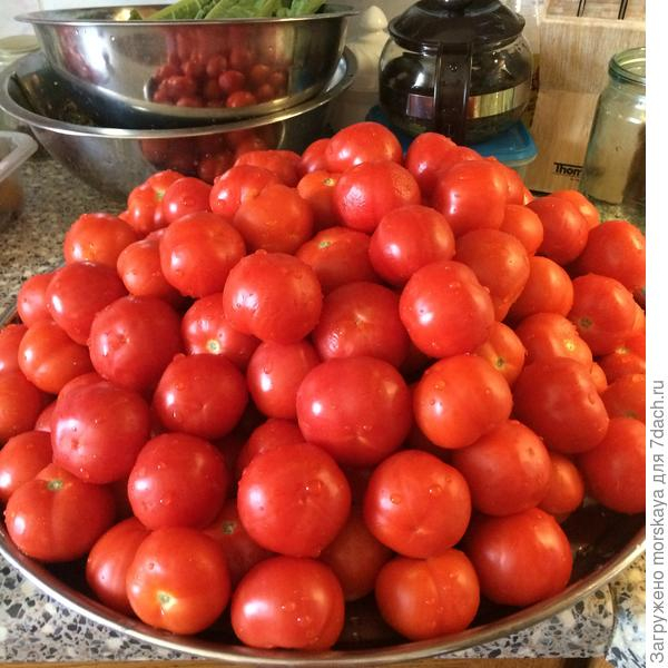 Мой участок - мой маленький рай!