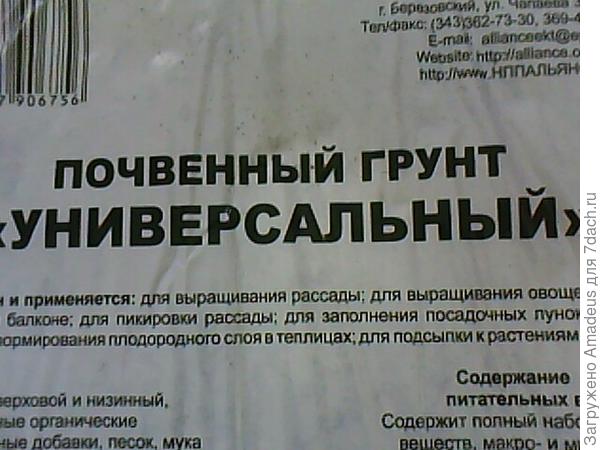 Пажитник голубой. Тест на всхожесть. Посев