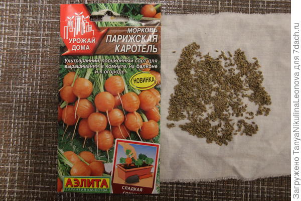 Морковь 'Парижская каротель'. Тест на всхожесть, сложные подсчёты...
