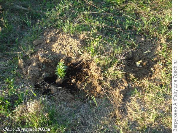 Сезон-2019. Майские каникулы в фото и не только
