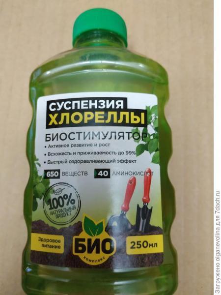 За двадцать дней до весны...