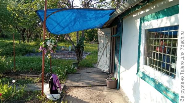 «Загорели руки в тёмное»... и другие дачные ведомости