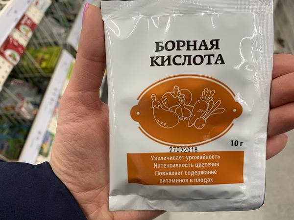Чем обработать семена перед посевом