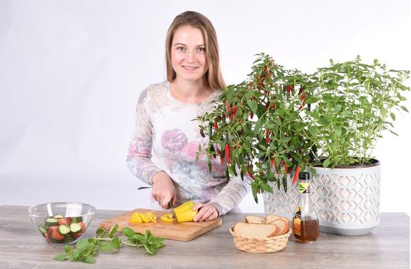 Марафон "Огород круглый год" в Instagram: участники