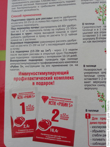 Томат 'Персик белый' пережил два переезда. Фото