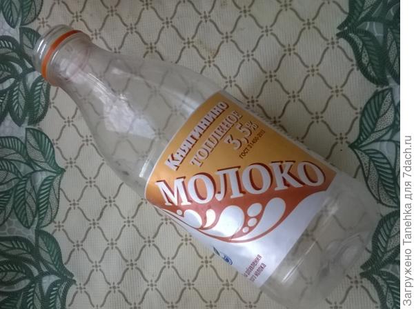 Лук на окне. Мой способ