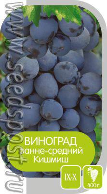 Здесь будет виноградник заложен!