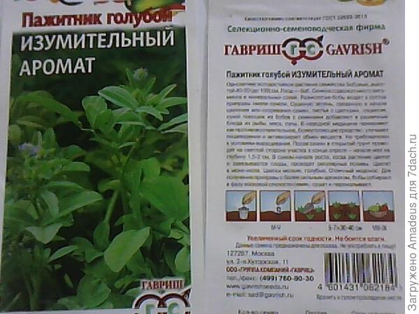 Пажитник голубой. Тест на всхожесть. Посев