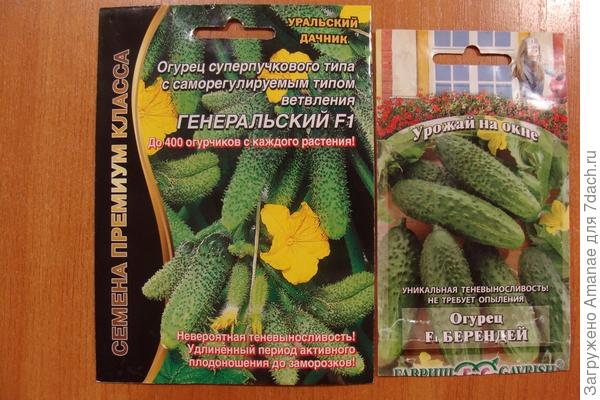 Чем заняться огороднику зимой?