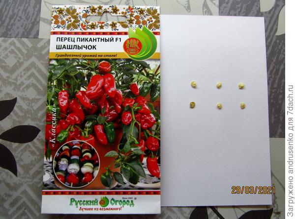 Пикантный перец "Шашлычок".  Быстрый старт