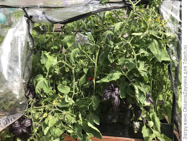 Микрокапельный полив "Базовый с таймером" от GARDENA. Часть 2
