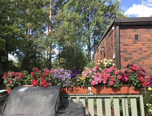 Оборудование для полива Gardena: отзывы дачников