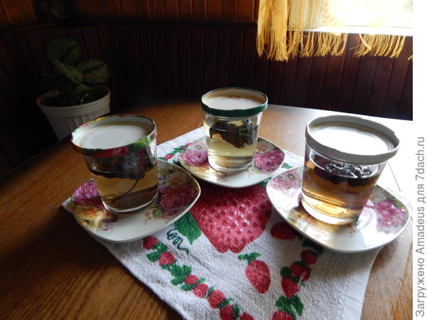 Базилик Фиолетовый. Итоги