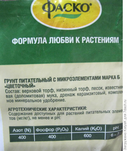 Пикировка ромашки в цветочный грунт от Фаско - залог хорошего развития и здоровья растений