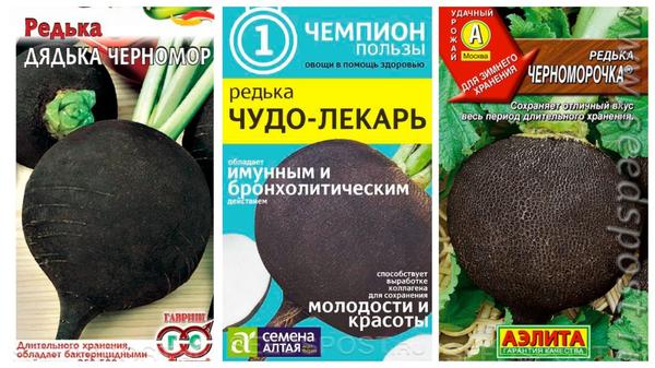 Что посеять на огороде в июле: выбираем семена овощей для летнего посева