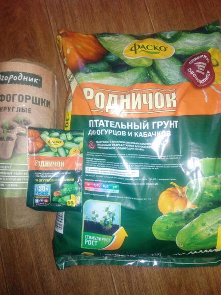 Рассада огурцов: быть или не быть?