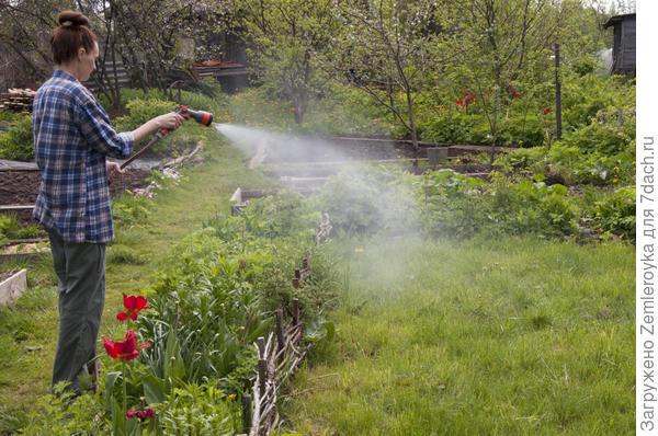 Многофункциональный пистолет для полива GARDENA. Плюсы и минусы в использовании. Фотографии