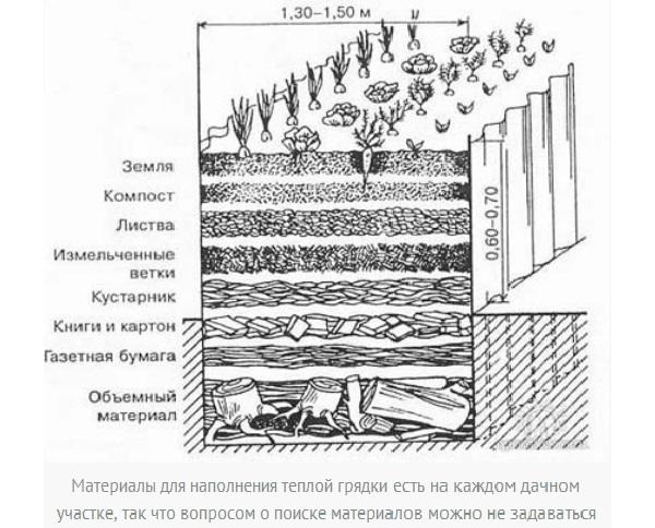 Интересные варианты грядок