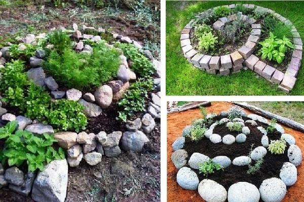 Интересные варианты грядок